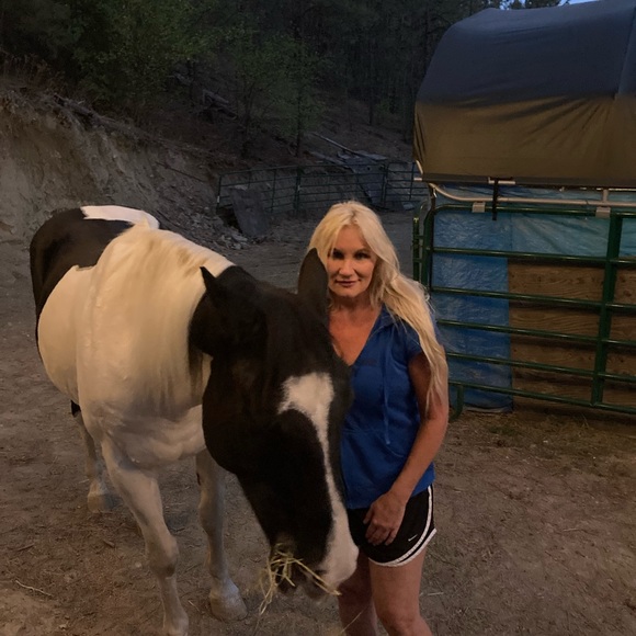 My gorgeous quarter paint Chief 💕 - Picture 8 of 8